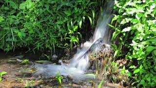 Slow TV Series 1 - Balinese Rice Terraces