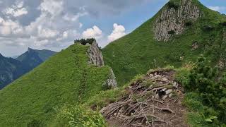 Appenzellerland,Switzerland,Alps,Kuh,Hiking,Nature,Austria,Vorarlberg🇦🇹⛰️🇨🇭🔝