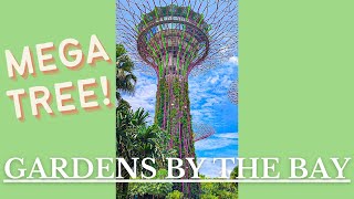 QUICK TOUR at GARDENS BY THE BAY - Mid Autumn Festival 2022 - Singapore Tour