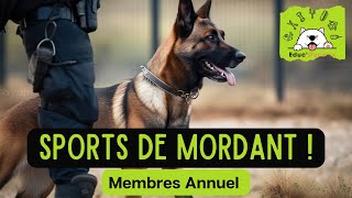 🐾 Sports de Mordant & Jeux de Tirage : Démonstration Épique avec Nos Membres ! 🎉🐕