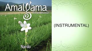 AMALGAMA - NARDO