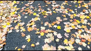 Walking at Fort Loudoun State Historic Park