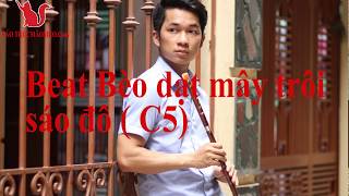 Beat bèo dạt mây trôi sáo đô  c5