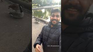 Idhi Ekada Vintha Ra Nayana 😂 |#shorts #ukvlog #uk #goose #swans #goose #goosegooseduck #ponds #fun