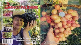 Мой Виноградник  № 11 Ноябрь 2018г