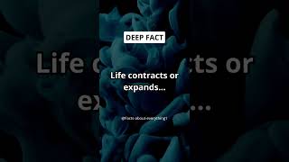 Life contracts or expands... #shorts #facts