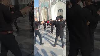 فیلم داخل حرم بخاطر اربیعن #viral #iran #tehran