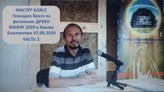 МАСТЕР КЛАСС Геннадия Брага на фестивале ДРЕВО ЖИЗНИ 2020  Крым Баштановка 07.09.2020 ЧАСТЬ 1