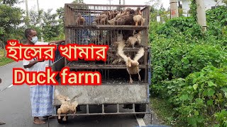 Duck 🦆 Farm | হাঁসের 🦆 খামার,,,2021