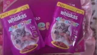 Бесплатный подарок для котенка от Whiskas.