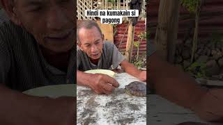 Hindi na kumakain si pagong #viral #nature #trending