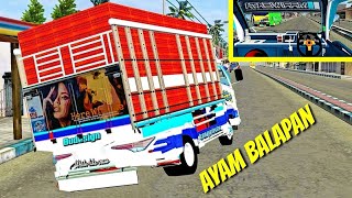 Ayam Balap Maulana Expedition Canter Oleng Mod Bussid Terbaru Hari ini