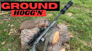 ground hog hunt suppressed 2024