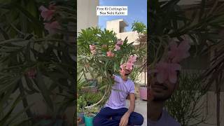 Free Ke Plants #free #trending #grow #youtube