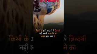 जिंदगी जीने का अंदाज अलग रखो | Hard motivation quotes | WhatsApp status | Success life #shorts