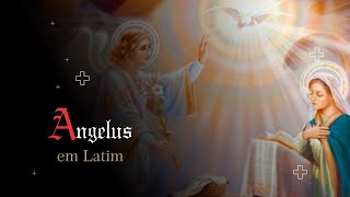 ANGELUS EM LATIM | Rezar em Latim