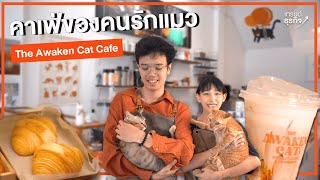 คาเฟ่ของคนรักแมว l The Awaken Cafe