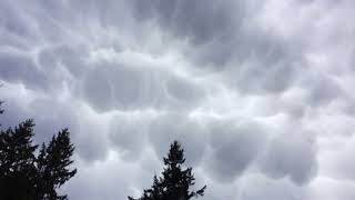 Mammatus clouds