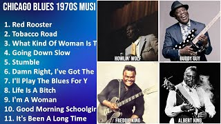 CHICAGO BLUES 1970S Music Mix - Howlin' Wolf, Junior Wells, Buddy Guy, St. Louis Jimmy - Red Roo...