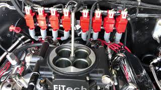 Fitech - IAC and Throttle Plate Info