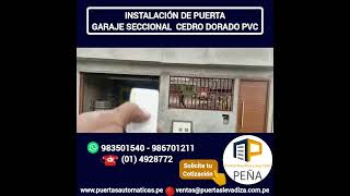 Puerta garaje automático seccional