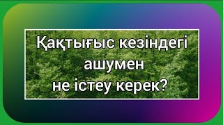 Ойлау мен мінез-құлық психологиясы... Білгеннің зияны жоқ..