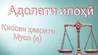 Адолати илохи. Киссае, ки шуморо ба хайрат меоварад.