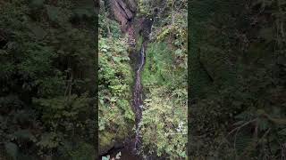 Devils Bridge Waterfalls 7/9/24