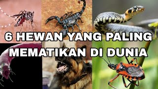 6 HEWAN YANG PALING BERBAHAYA DI DUNIA