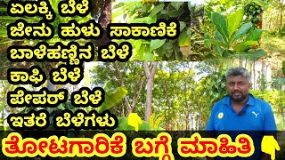 ತೋಟಗಾರಿಕೆ ಬಗ್ಗೆ ಮಾಹಿತಿ, ಏಲಕ್ಕಿ ಬೆಳೆ , ಕಾಫಿ ಬೆಳೆ , ಪೇಪರ್ ಬೆಳೆ ,ಮತ್ತು ಇತರ ಬೆಳೆಗಳ ಬಗ್ಗೆ ಮಾಹಿತಿ #farming