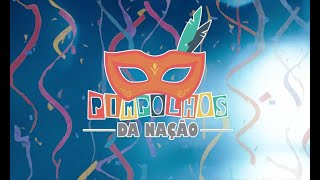 Carnaval de Juazeiro do Norte - Escola de Samba Pimpolhos da Nação no Bairro Socorro