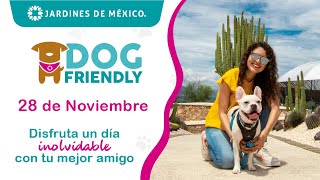 ¡La espera terminó! Llega la 4ta. edición de Dog Friendly│ Jardines de México