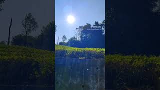 #valparai #valparaihills #pollachi #mansoonseason #monson #teaestates #shortsvideo #shortsviral