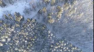 Aerial - camera tilting down above the sunny winter forest river and road below