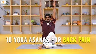 10 Yoga Poses for Back Pain Relief | Himalayan Yoga Association