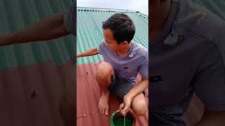 Roof paint #Marne ka ideas#short video, 🏠👆👍👈