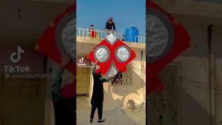 6 Tawa Flying in Pindi basant