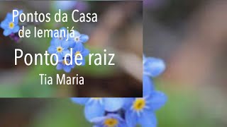 Ponto de raiz - Tia Maria