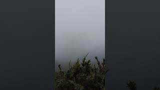 大雨中行走於原始之路的山峰，腳下雲霧繚繞