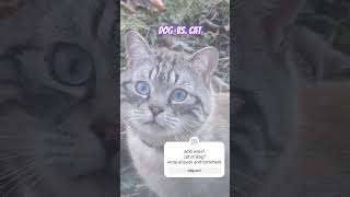 #funny #dog #cat #cute #puppy #viralvideo #shorts حمود qısa video