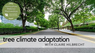 Tree Climate Adaptation