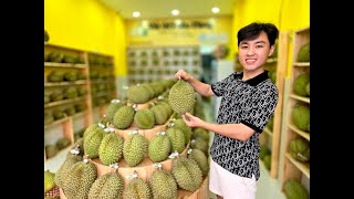 Sầu riêng Musang King cơm vàng không nhúng thuốc, chín cây 180k rẻ nhất Sài Gòn