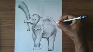 How to Draw an Elephant - drawing sheet