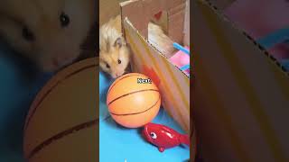 DIY Enrichment Toys for Small Pets 🐹🐰 | PetCentric TV #shorts #video #facts #animals #pets