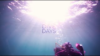 Dive Days at La Jolla Shores