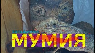 Мумия. Загадка мумии. Новая раса на планете ?