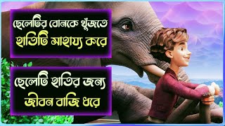 শহরে এসেছে জাদুর হাতি | The Magician's Elephant Explained in Bangla |