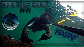 Huzur ,Zıpkın, Balık 3'ü Bir arada FHD ZIPKIN AVI PART3 #zıpkın #spearfishing #fishing