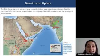 Locust Outbreaks in East Africa and the Regional Desert Locust Alliance (Francecsa Sangiorgi, ACTED)