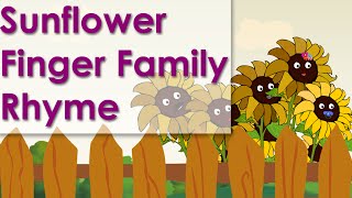 Finger Family | Sunflower Finger Family Nursery Rhyme | Finger Family Sunflower Song